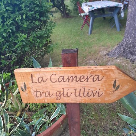 La Camera Tra Gli Ulivi Dream Finale 菲纳莱利古雷 外观 照片