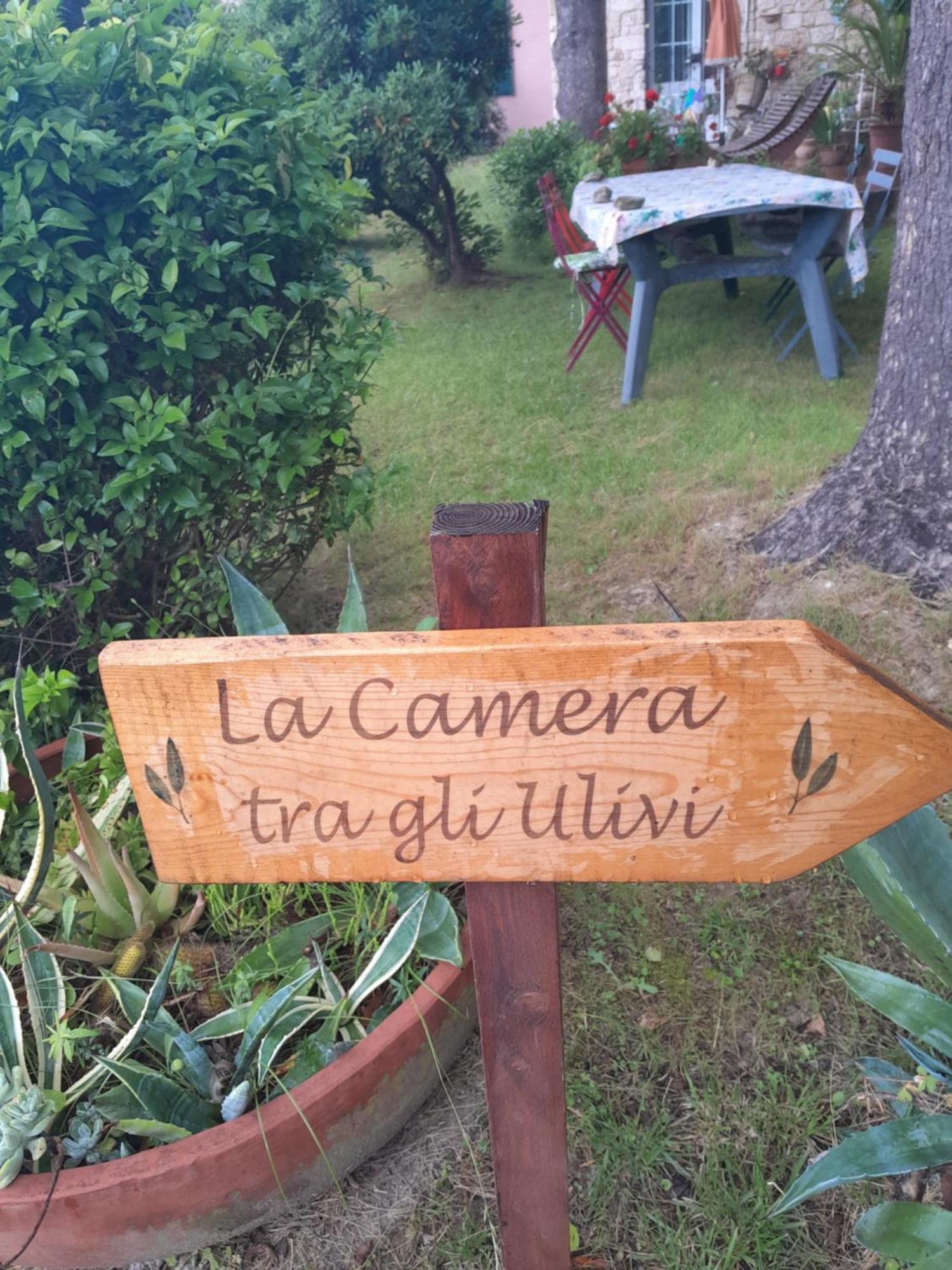 La Camera Tra Gli Ulivi Dream Finale 菲纳莱利古雷 外观 照片